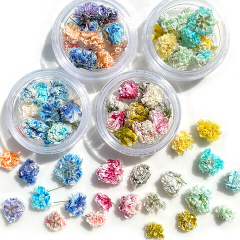 楽天市場】レジン封入 素材 材料 レジンアクセサリー カスミソウ