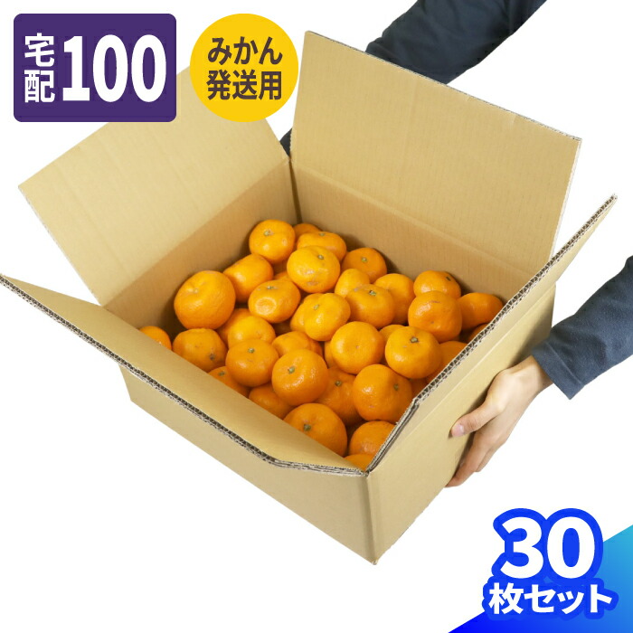 楽天市場】みかん発送用 ダンボール 100サイズ 10枚〜30枚 (365×310