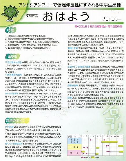 楽天市場】ブロッコリー おはよう 2000粒 (株)サカタのタネ [種子/野菜