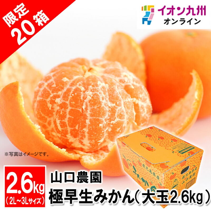 楽天市場】山口農園 極早生みかん（大玉） 1箱（2.6kg） ミカン 蜜柑