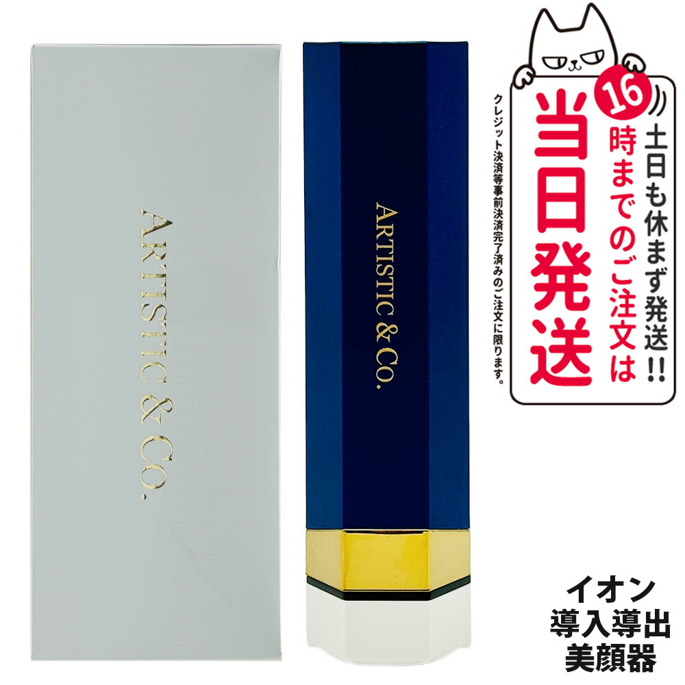 楽天市場】ARTISTIC&CO ION イオン導入導出美顔器 スキンスクライバー