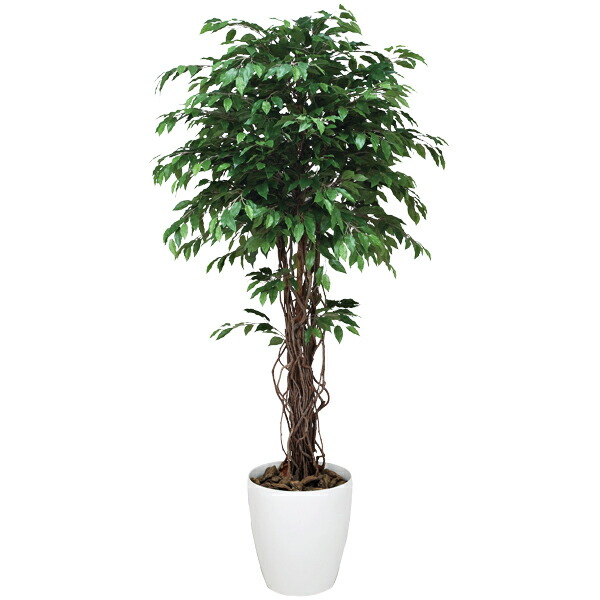 楽天市場】フェイクグリーン 光触媒 人工観葉植物 観葉植物 大型