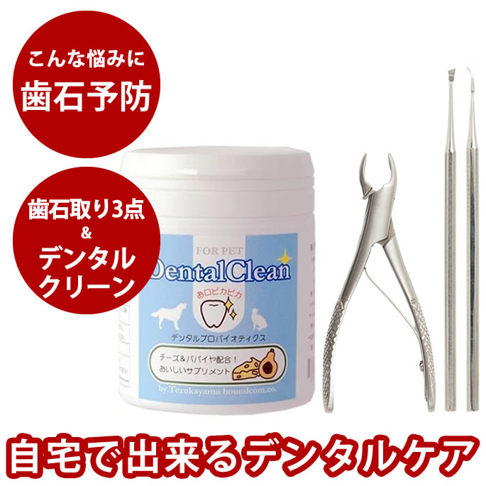 楽天市場】【P2＆クーポン配布中】歯石取り3点＆デンタルサプリセット