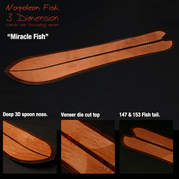 楽天市場】【23/24モデル】T.J Brand original Napoleon Fish / ティー