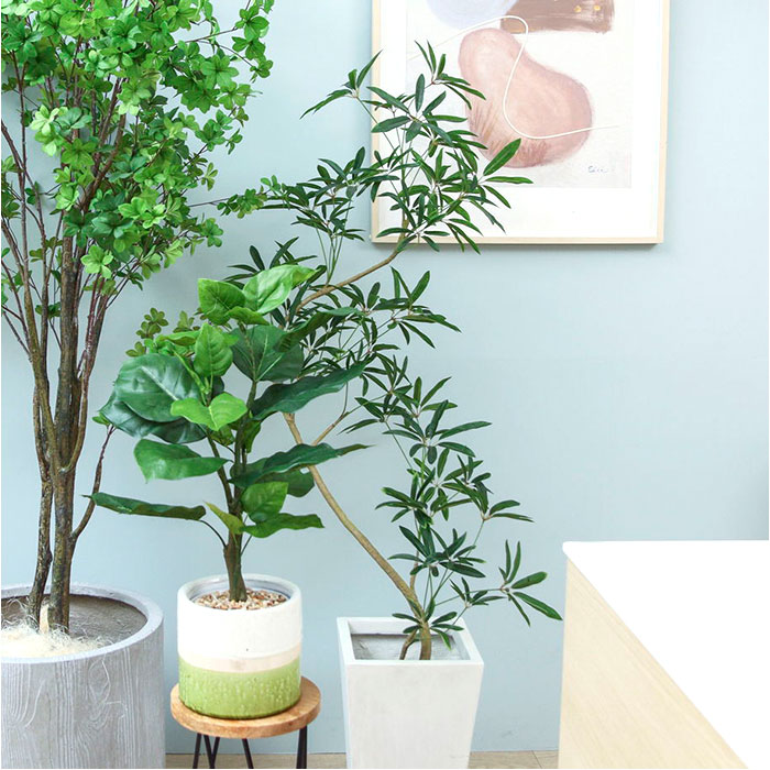 楽天市場】シェフレラ 曲がり 通販 フェイクグリーン インテリア