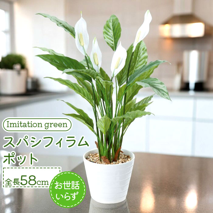 楽天市場】フェイクグリーン スパシフィラム 通販 フェイク グリーン