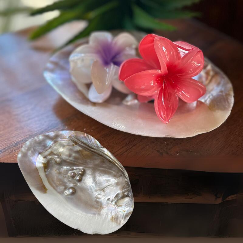 楽天市場】真珠貝（インテリア小物・置物｜インテリア・寝具・収納）の通販