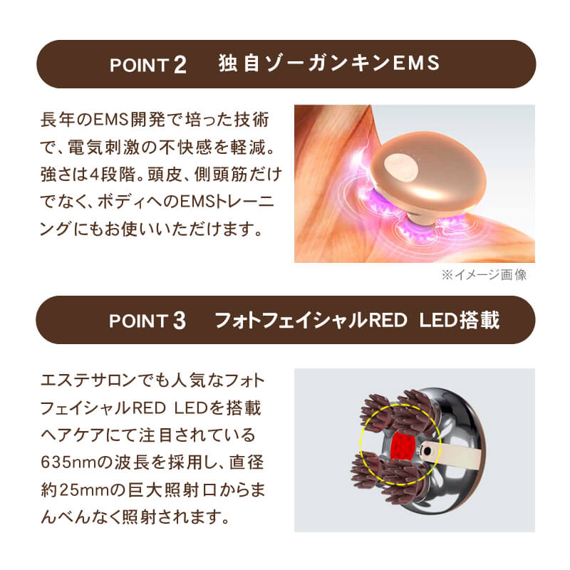 楽天市場】【正規品/送料無料/あす楽】ゾーガンキンスカルプ EMS