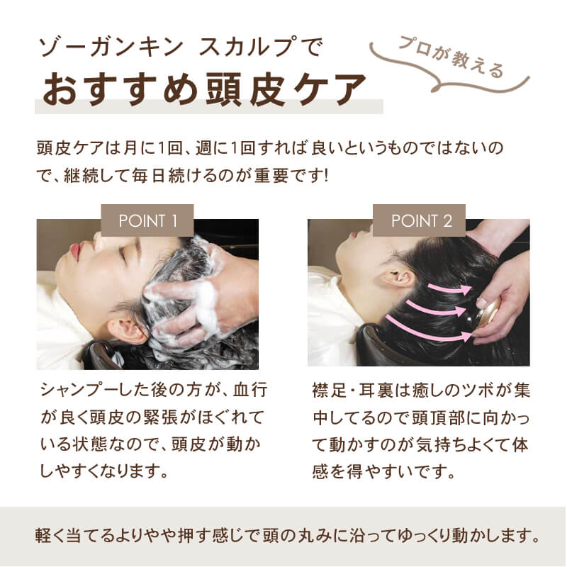 楽天市場】【正規品/送料無料/あす楽】ゾーガンキンスカルプ EMS