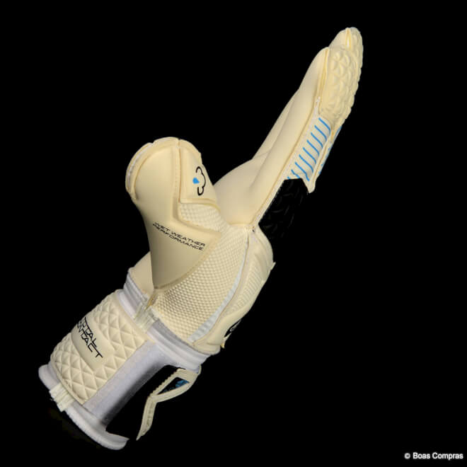 楽天市場】セルス キーパーグローブ [sgp181902 トータルコンタクト