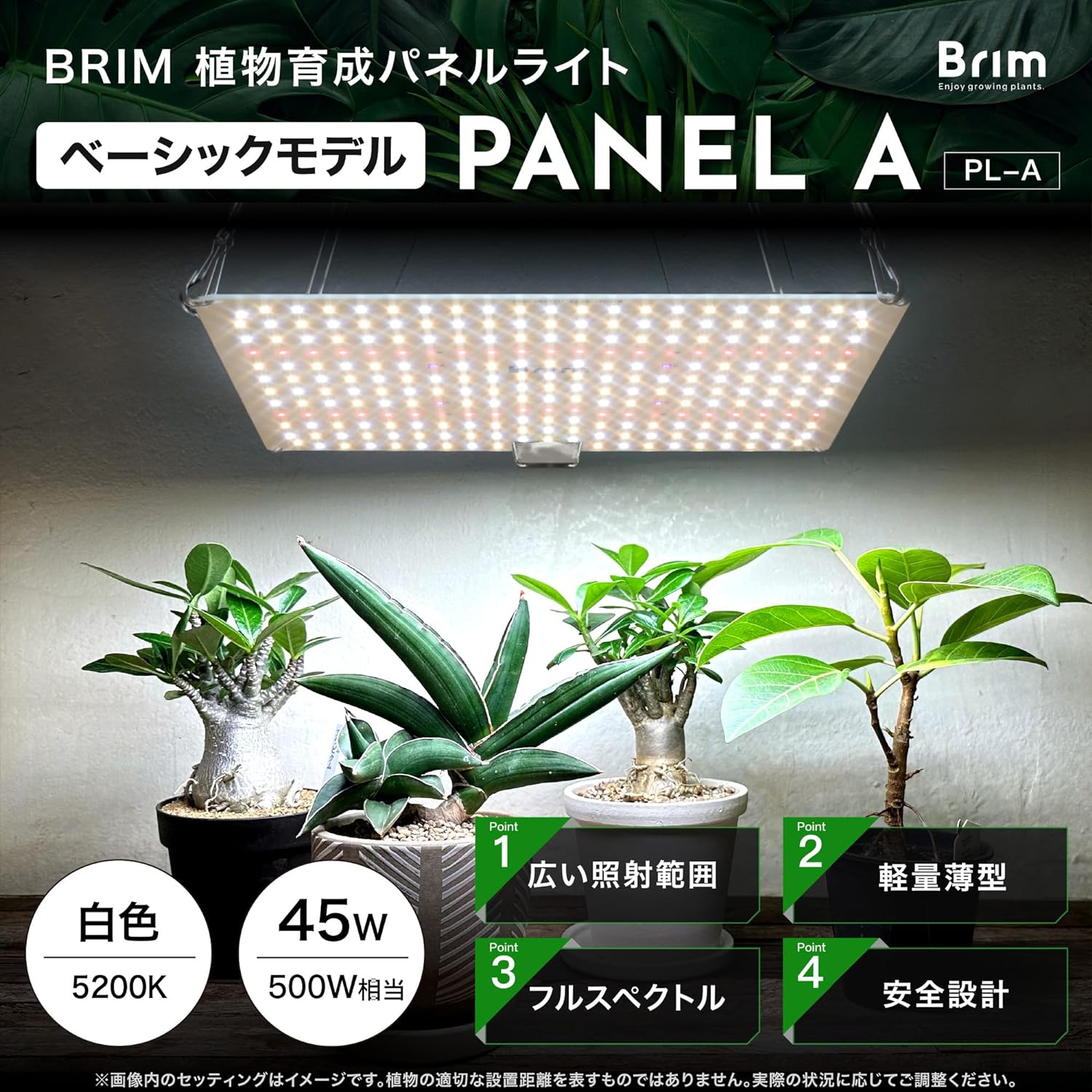 楽天市場】BRIM(ブリム) 公式店 楽天ランキング1位獲得【2枚セット