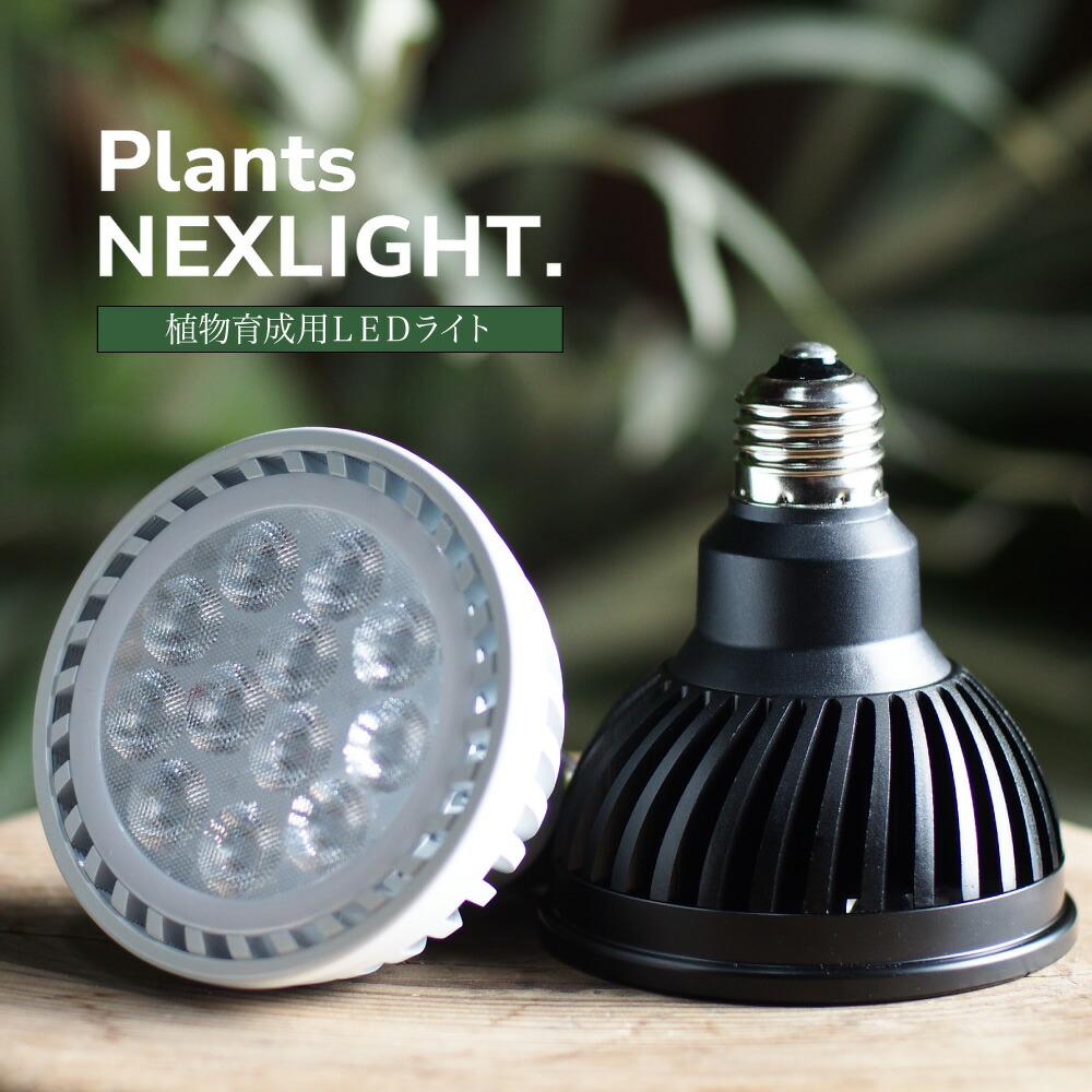 楽天市場】ホワイト ブラックから選べる 観葉植物 育成 LEDライト