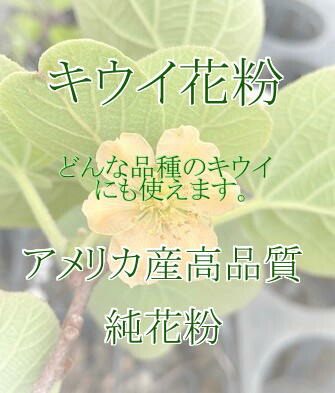 楽天市場】人工授粉用キウイ 花粉 1袋 : e-フラワー