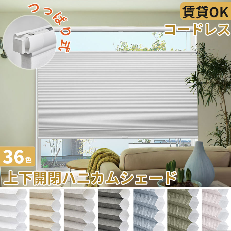 c1.jpg?fitin=272:272