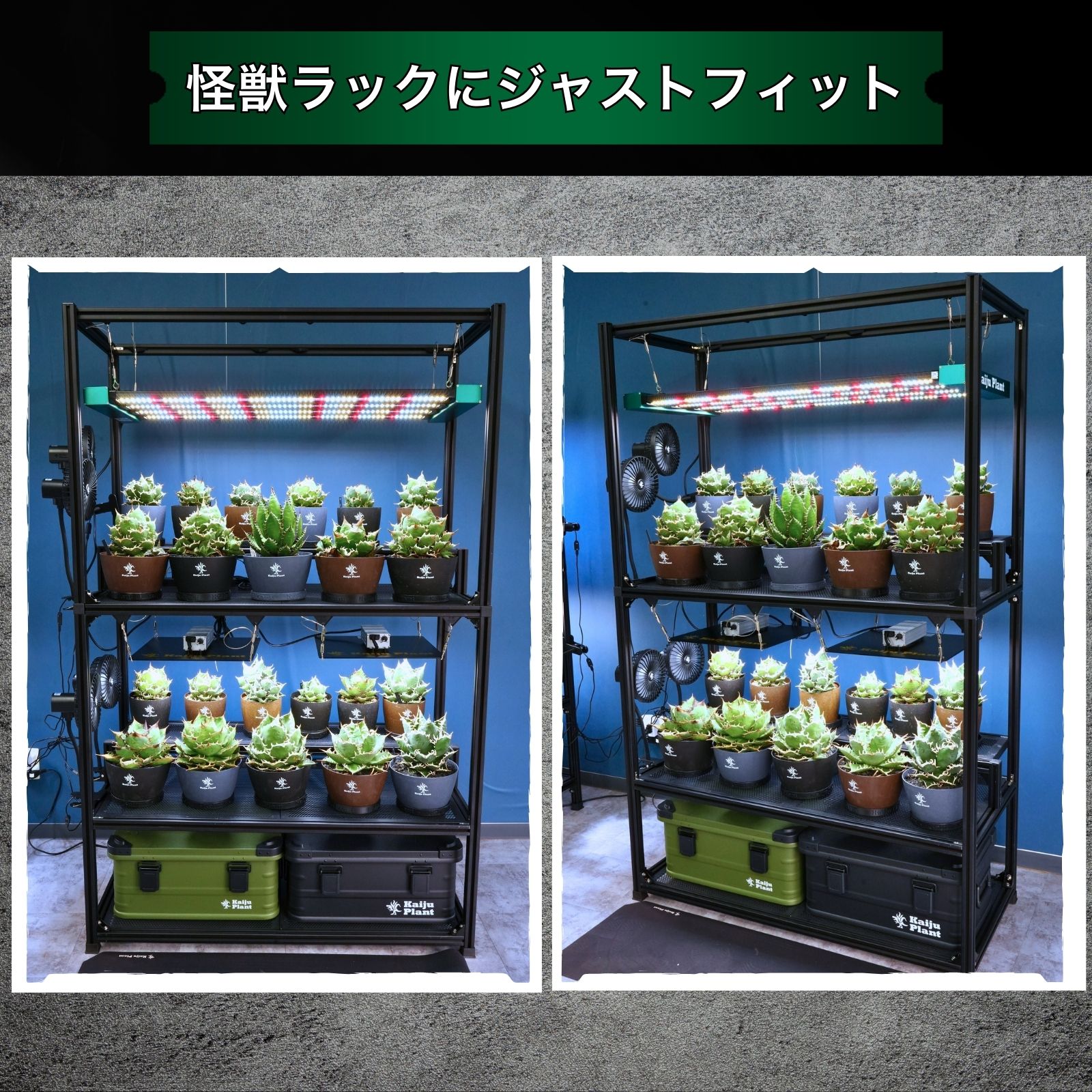 楽天市場】Kaiju Plant 怪獣メガフレア｜300W バータイプ 植物育成LED