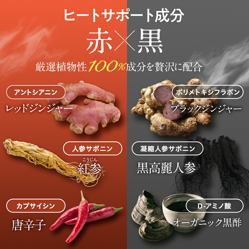 楽天市場】スリリン ファイア (2袋) 温活 脂肪燃焼 ダイエットサプリ