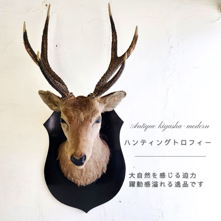 楽天市場】ハンティングトロフィー 鹿 オブジェ 壁掛け 剥製 シカ 狩猟