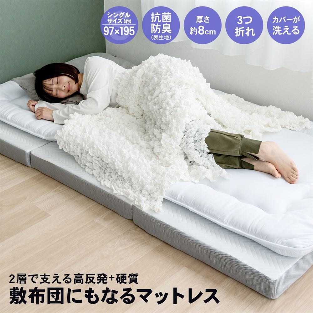 楽天市場】【3/5(木)限定 抽選で最大100%ポイントバック 要エントリー