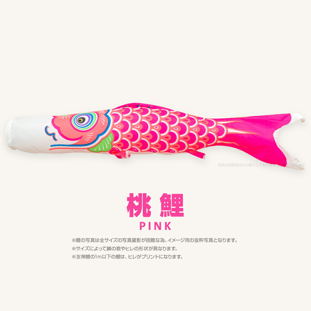 楽天市場】【3/4 20時開始SSP最大14倍】 こいのぼり 単品 鯉のぼり