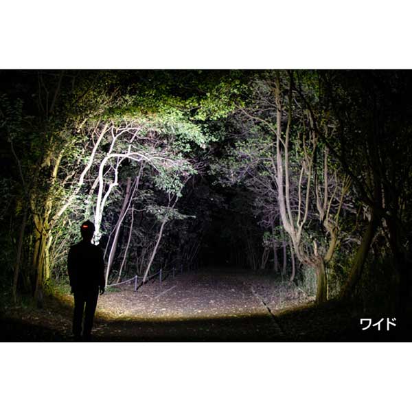 楽天市場】☆GENTOS/ジェントス GH-300RG Gシリーズ ハイブリッド式