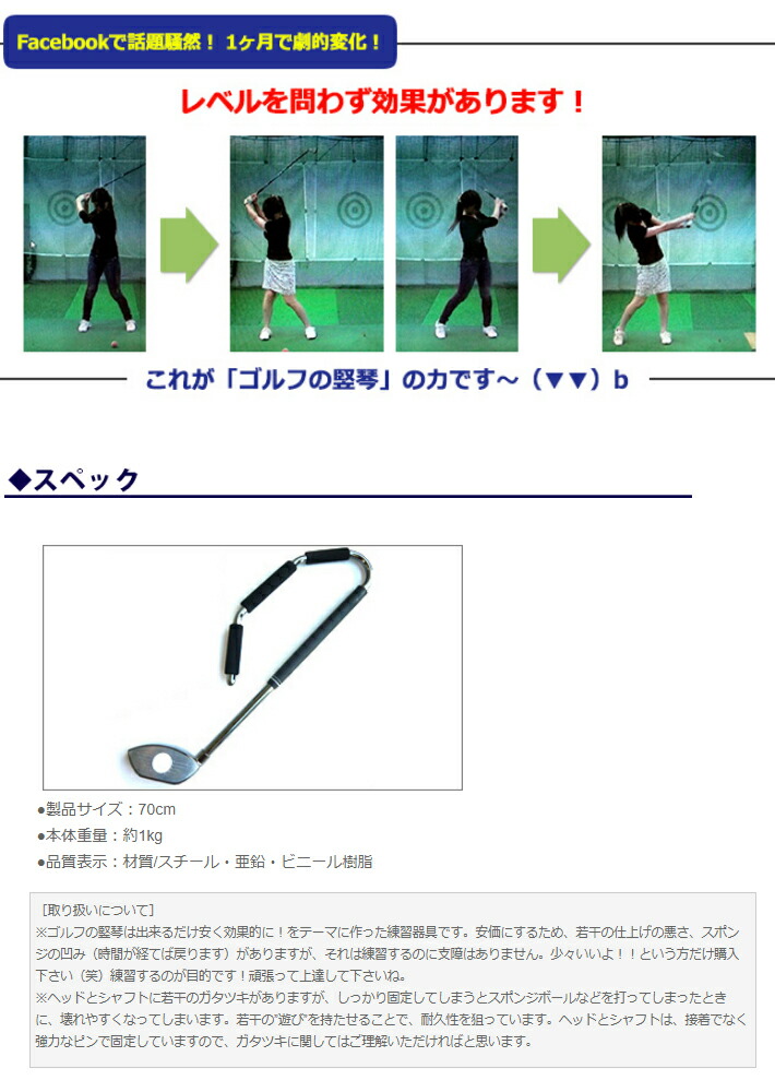 楽天市場】ゴルフの竪琴 たてごと スイング 練習器 【マーク金井氏が