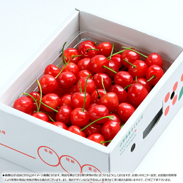 楽天市場】【予約】山形県産 晩生 さくらんぼ 500g (貯蔵品/秀品/L