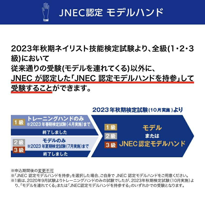 楽天市場】JNEC認定 STモデルハンド 左手 チップ差込式(ネイルチップ
