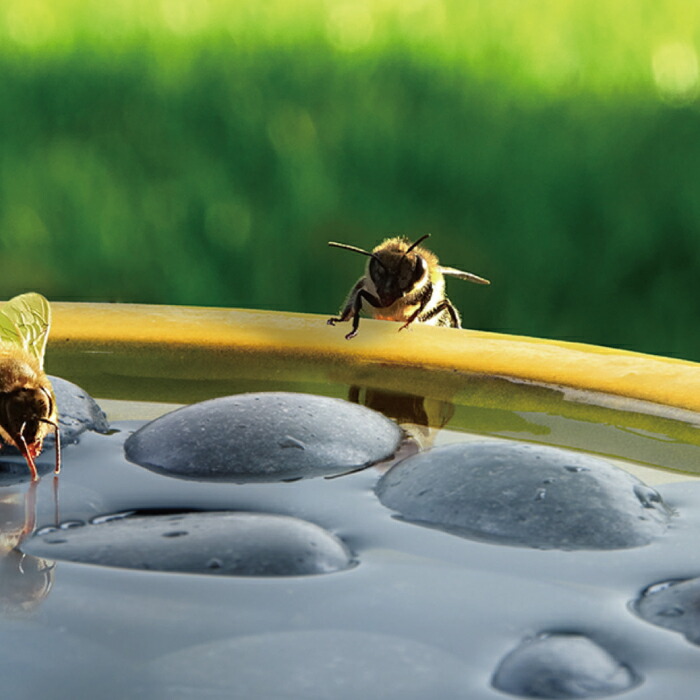 楽天市場】【SS限定☆エントリーで＋P10倍＆MAX15％OFFクーポン