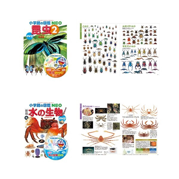 楽天市場】小学館の図鑑NEO ドラえもん DVD付 14冊セット 昆虫/動物/魚