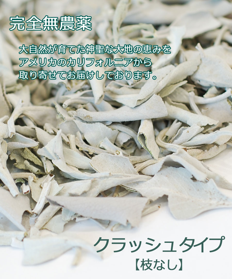 楽天市場】新鮮な香りのセージを輸入【期間限定10％増量中】＼完全無