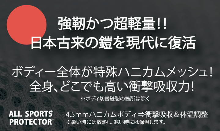 楽天市場】スノーボード スキー ヒッププロテクター ヒップパッド