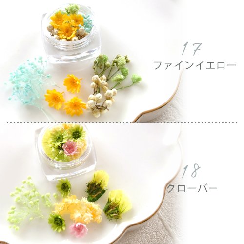 楽天市場】【最大1280円OFFクーポンあり】【ドライフラワー】ドライ