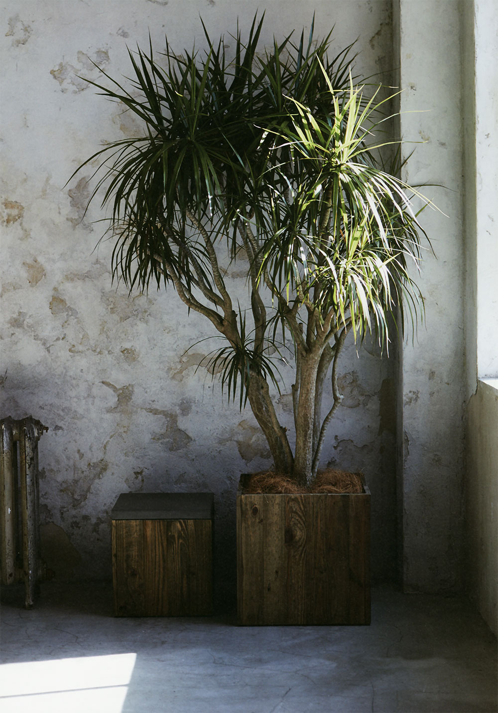 楽天市場】ウッド プランター カバー 鉢カバー おしゃれ 大型 人気