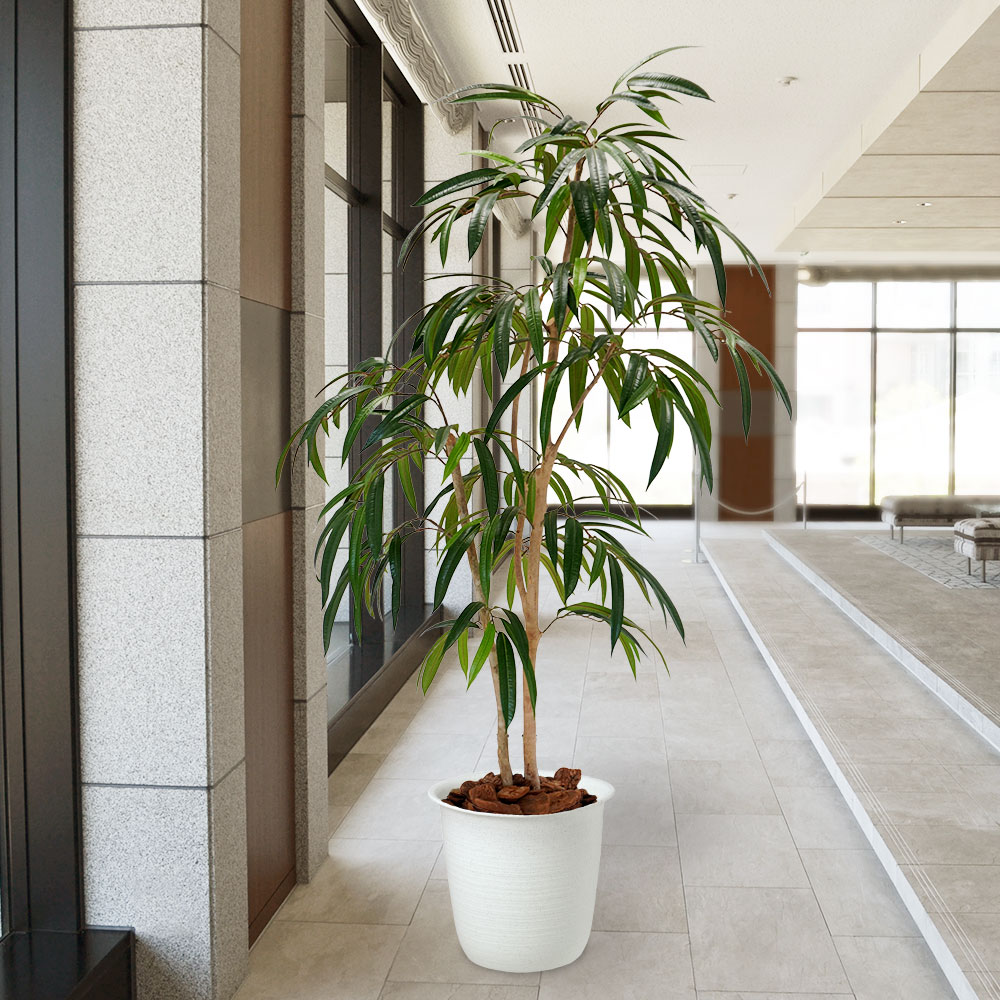 楽天市場】フェイクグリーン ショウナンゴムの木 大型 おしゃれ 人気