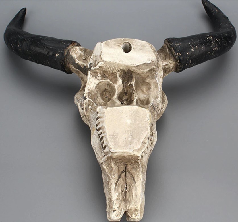 楽天市場】ハンティングトロフィー 牛骨 頭蓋骨 壁掛けアクセサリー