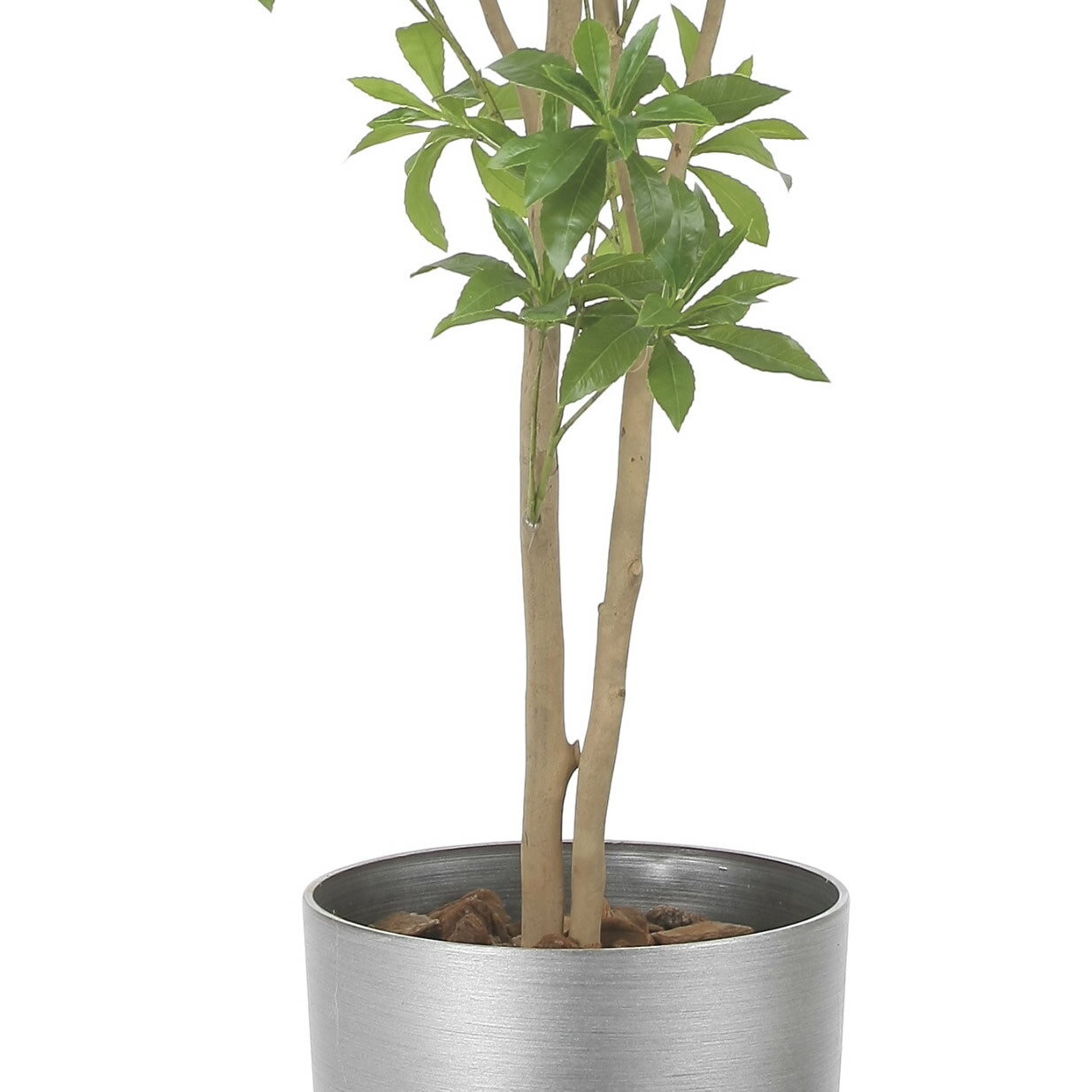 光触媒 観葉植物 ウォールグリーン フェイクグリーン フレッシュアセビ