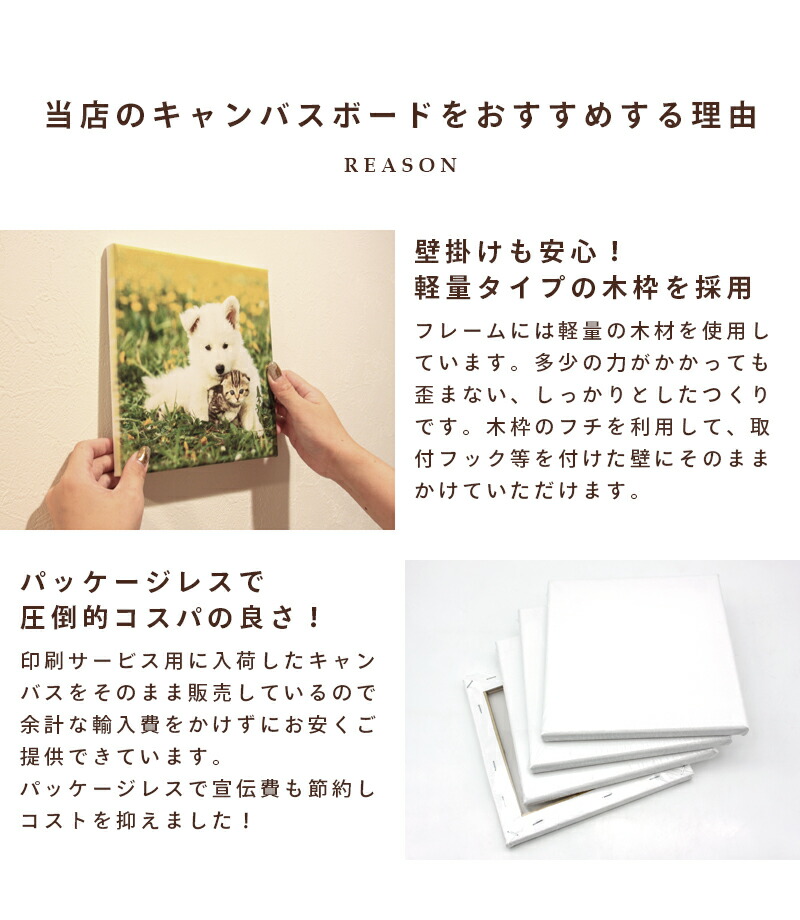 楽天市場】【アウトレット 訳アリ B品】キャンバスボード 10枚セット