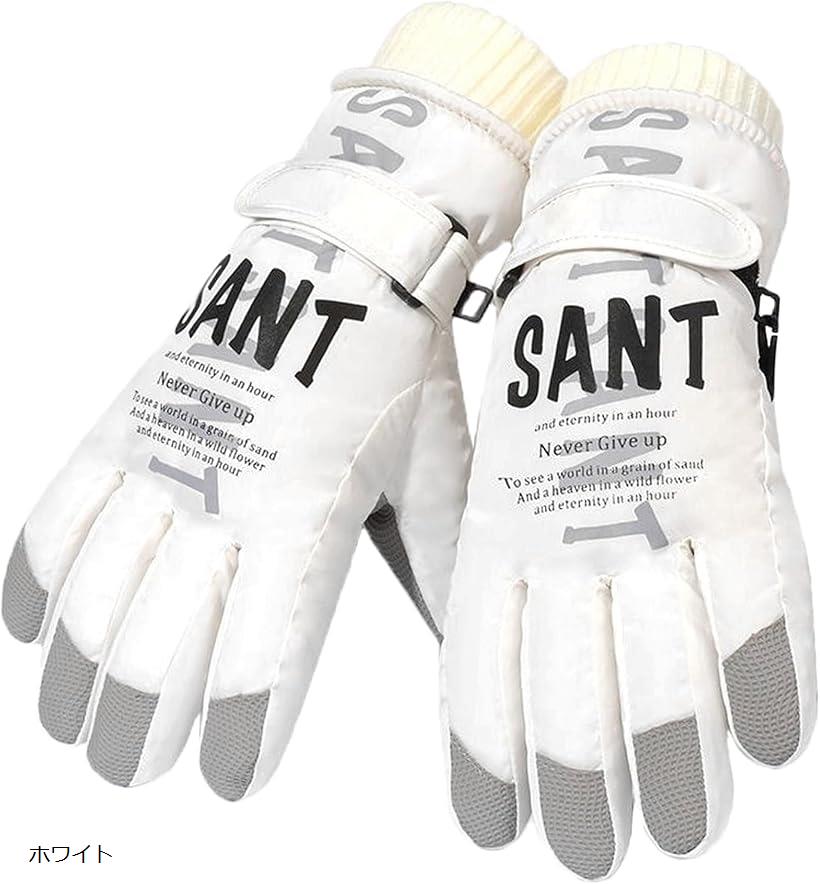 楽天市場】スキーグローブ スキー手袋 スノボ手袋 スノボグローブ