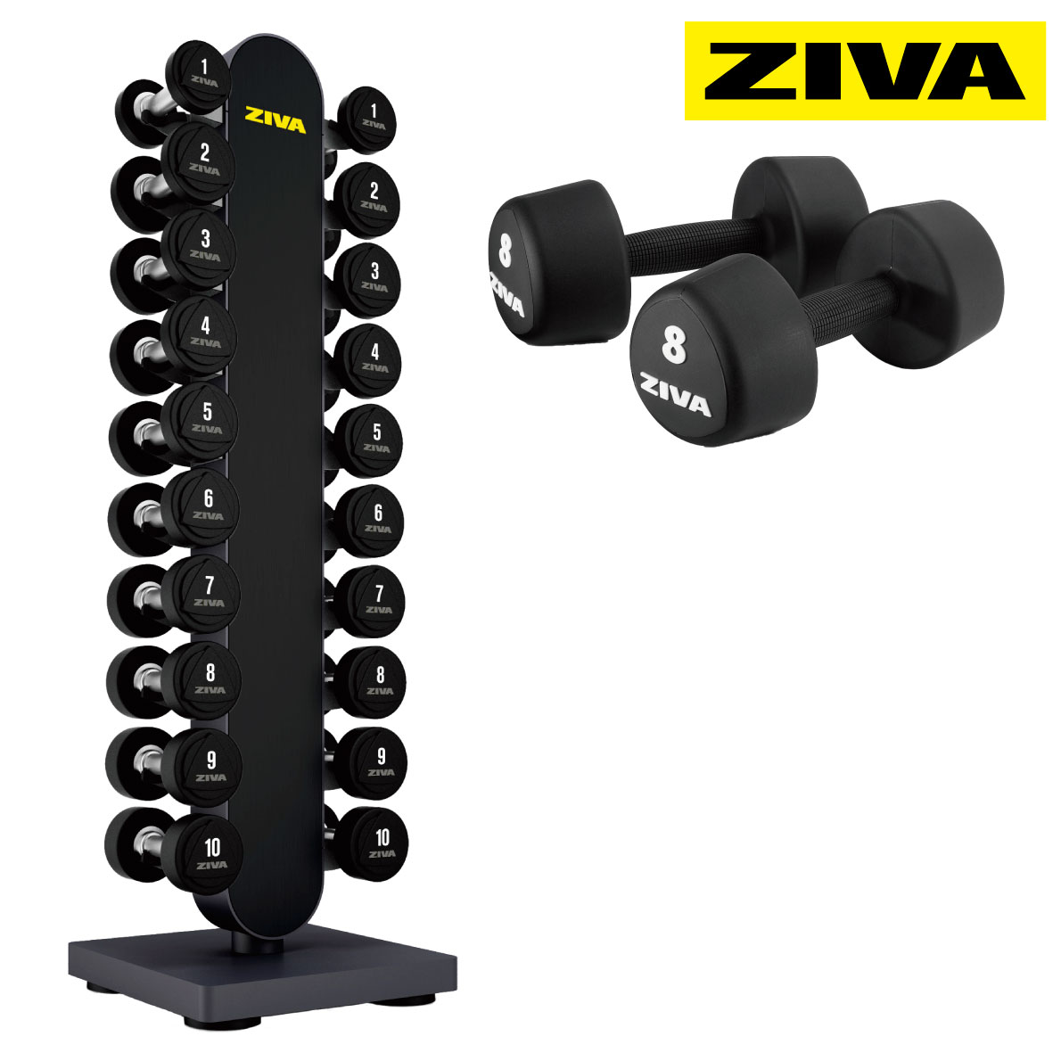 楽天市場】【業務用】ウレタンダンベル 10ペア 20個 1-10kg ダンベル