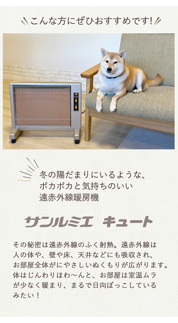 楽天市場】【今だけ☆抽選で2人に1人最大100%ポイントバック☆要