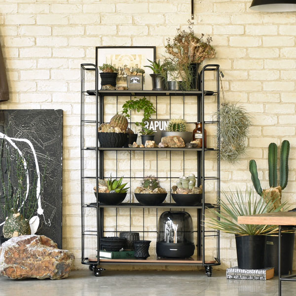 楽天市場】【SS限定!確率1/2で最大100％ポイントバック】 [LD シェルフ