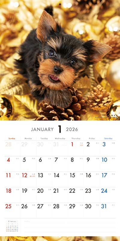 楽天市場】［公式］PICTWANカレンダー 2026年【L判】ヨークシャー