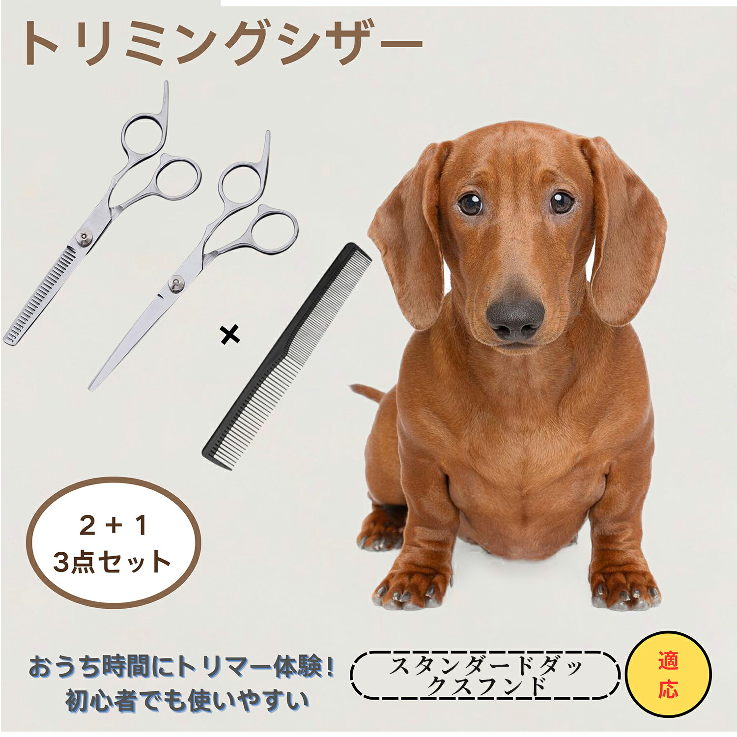 楽天市場】スタンダードダックスフンド Standard Dachshund 送料無料
