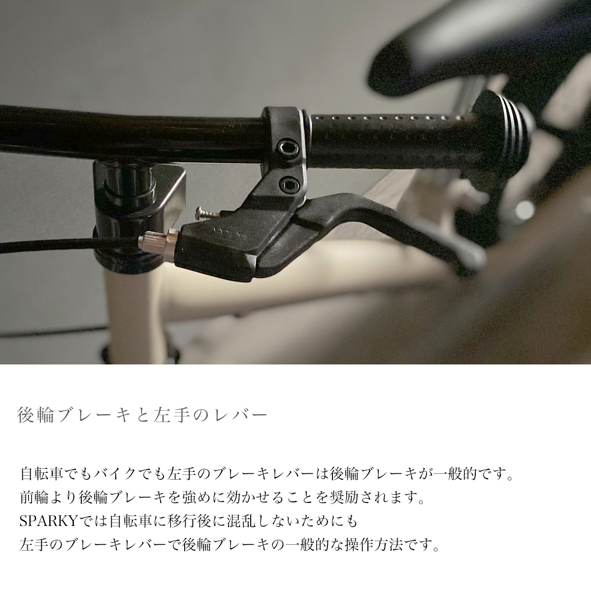 楽天市場】【国内自社工場で組立整備】2歳 誕生日プレゼント キック