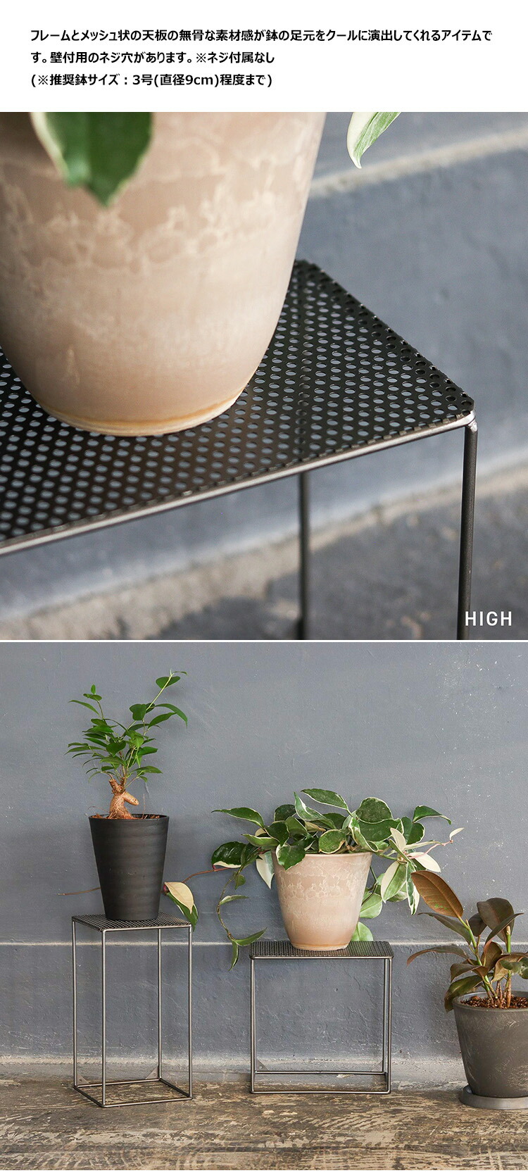 楽天市場】【レビューでプレゼント】インダストリアル プランター