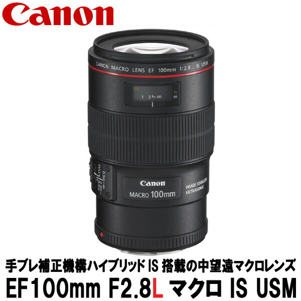 楽天市場】キヤノン ef100mm f2.8 マクロ usmの通販