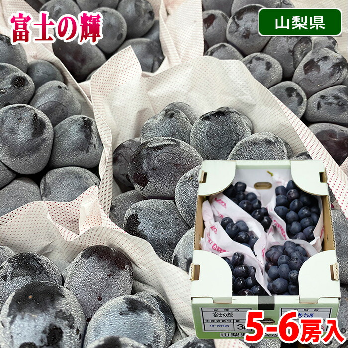 楽天市場】山梨県産 ぶどう 富士の輝 （富士の輝き） 特秀 5〜6房前後