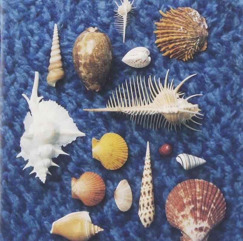 楽天市場】サイクルヒット1991－2017 スピッツの通販