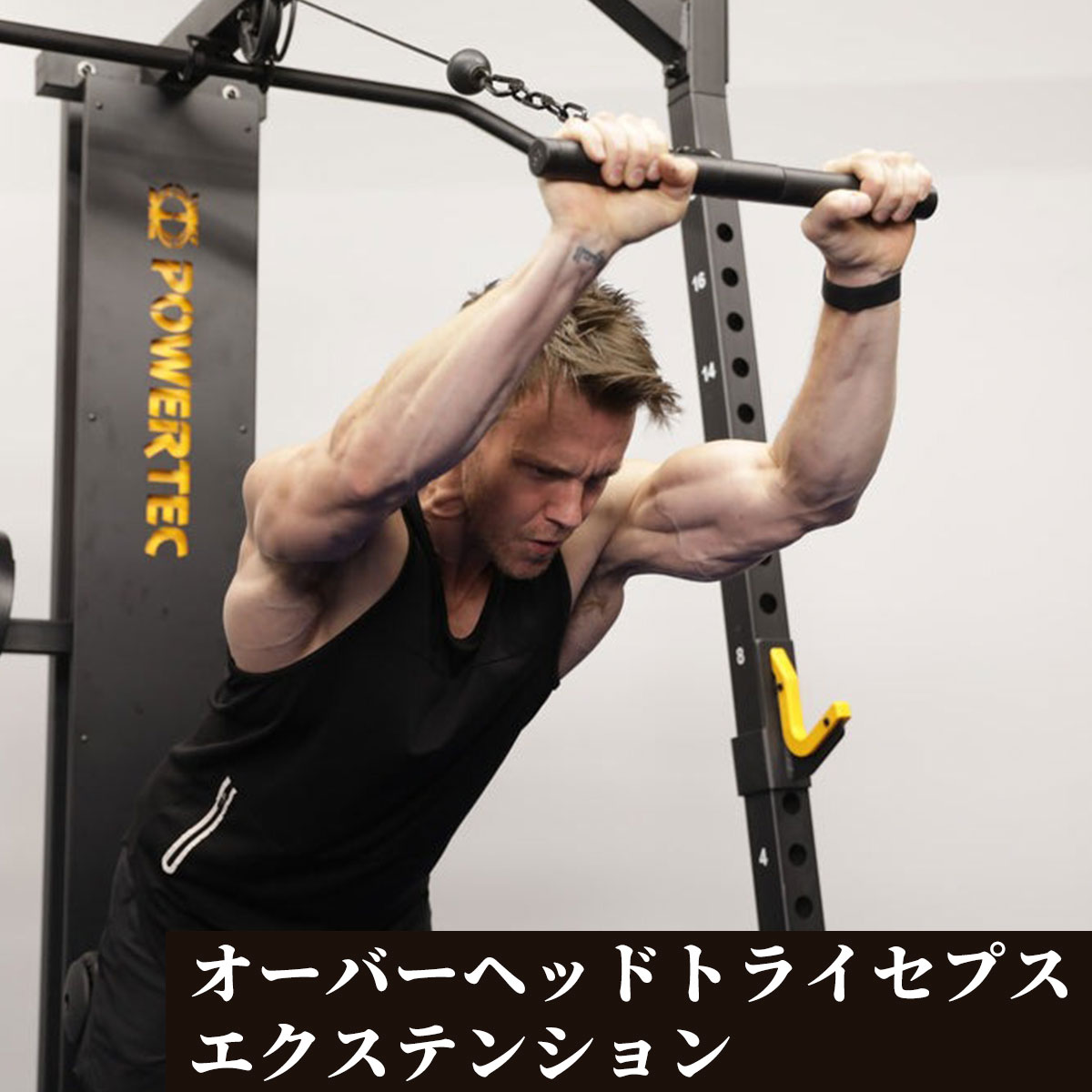 楽天市場】パワーテック トレーニング ギア ハーフラック ブラック WB