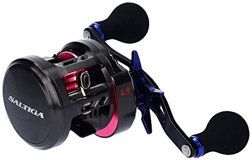 楽天市場】ダイワ(DAIWA) ベイトリール 17 ソルティガBJ 100PL-RM